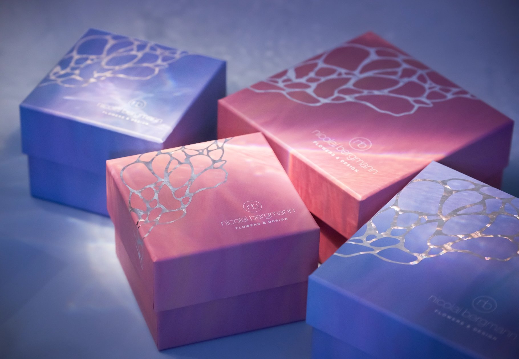 summer collection 2024｜Nicolai Bergmann